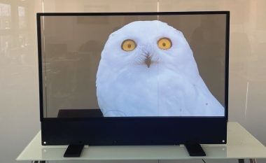affichage transparent OLED ultrafin personnalisé pour la publicité intérieure