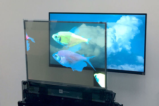 Affichage OLED transparent à haute luminosité, écran OLED plein couleur clair polyvalent